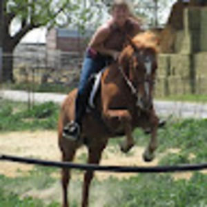 Meet your Posher, Joann